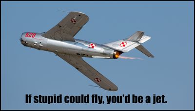 stupid - if stupid could fly.jpg