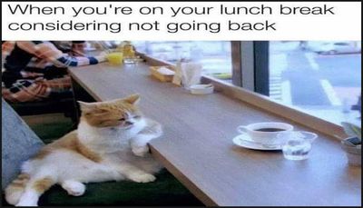 work - when you're on your lunch break.jpg