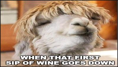 wine - when that first sip.jpg
