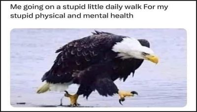 exercise - me going on a stupid.jpg