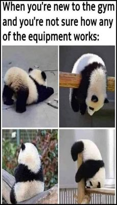 exercise - v - when you're new to the gym.jpg