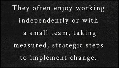 INTJ - 151 they often enjoy working.jpg