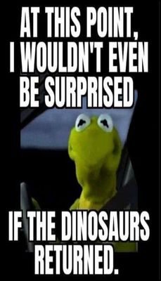 funny - v - at this point I wouldn't even.jpg