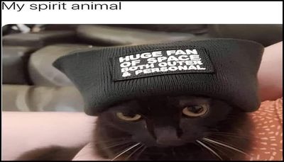 introvert - my spirit animal.jpg