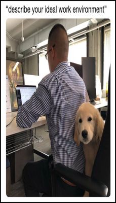 work - v - describe your ideal.jpg