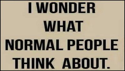 think - I wonder what normal.jpg