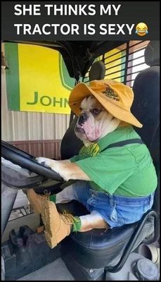 funny - v - she thinks my tractor.jpg
