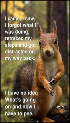 funny - v - I came I saw I forgot.jpg