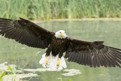 Raptor Conservancy D230602 1236-www.jpg