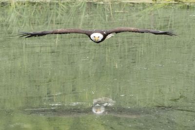 Raptor Conservancy D230602 1247-www.jpg