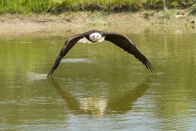 Raptor Conservancy D230603 0875-www.jpg