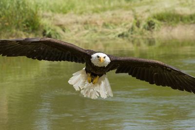 Raptor Conservancy D230603 0968-www.jpg