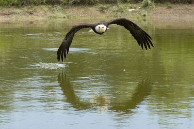 Raptor Conservancy D230603 0900-www.jpg