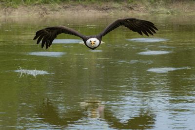 Raptor Conservancy D230603 0912-www.jpg