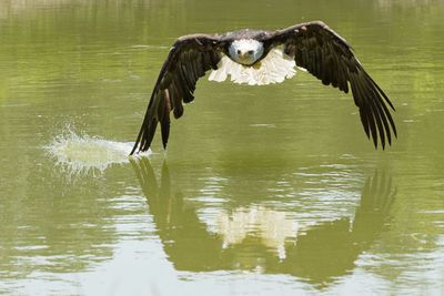 Raptor Conservancy D230708 1414 www.jpg