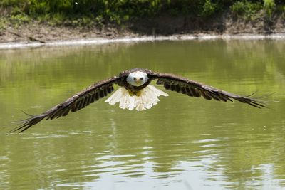 Raptor Conservancy D230708 1382-www.jpg