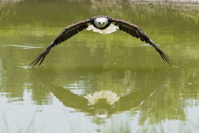 Raptor Conservancy D230708 1278-www.jpg