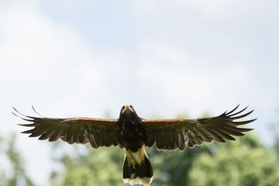 Raptor Conservancy D230709 0613-www.jpg