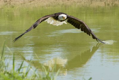 Raptor Conservancy D230709 1651-www.jpg