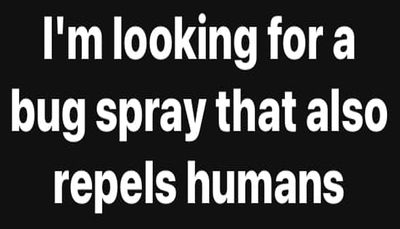 introvert - I'm looking for a bug spray.jpg