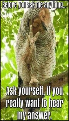 funny - v - before you ask me.jpg
