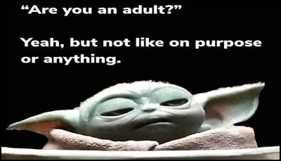 adult - are you an adult yeah.jpg