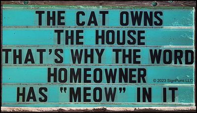 animals - the cat owns the house.jpg