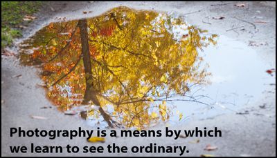 photography - photography is a means by which.jpg