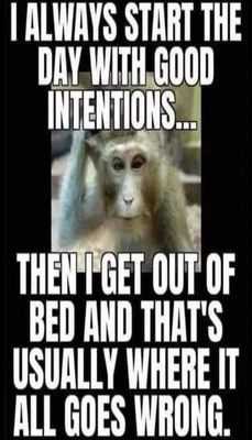 funny - v - I always start the day with.jpg