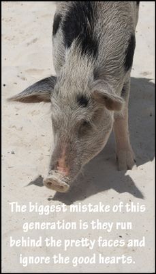 mistakes - v - biggest mistake of this generation.jpg