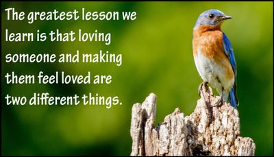 lessons - the greatest lesson we learn.jpg