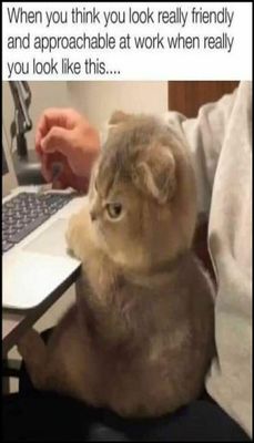 work - v - when you think you look.jpg