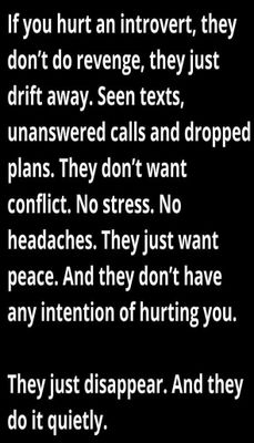 introvert - v - if you hurt an introvert.jpg
