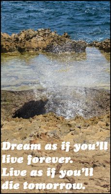 dream - v - dream as if you'll.jpg