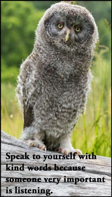 yourself - v - speak to yourself with kind.jpg