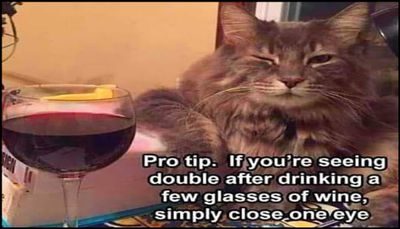 wine - pro tip if you're seeing.jpg