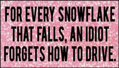 funny - for every snowflake.jpg