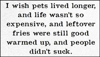 animals - I wish pets lived longer.jpg