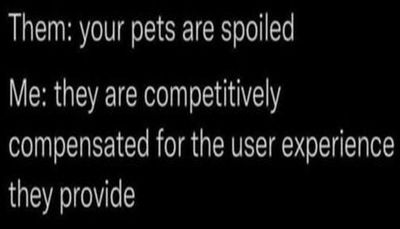 animals - them your pets are spolied.jpg