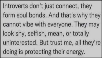 introvert - introverts don't just connect.jpg