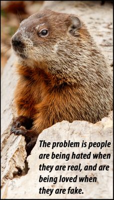 problem - v - the problem is people are.jpg