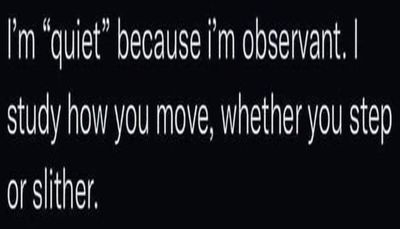 introvert - I'm quiet becuase I'm.jpg
