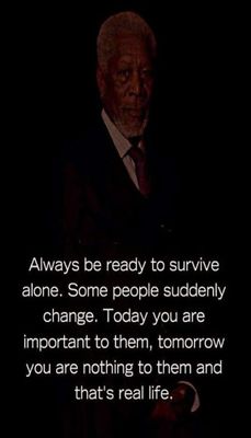 alone - v - always be ready to survive.jpg