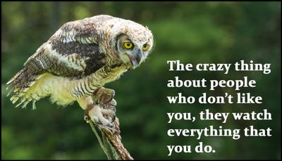 people - the crazy thing about.jpg