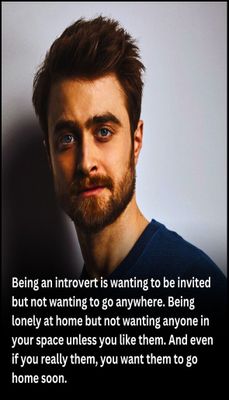 introvert - v - being an introvert is wanting.jpg