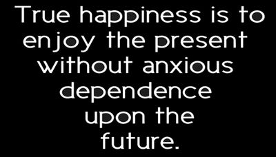 happiness - true happiness is to enjoy.jpg