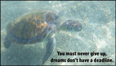 dream - you must never give up.jpg