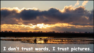 photography - I don't trust words.jpg