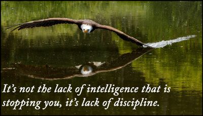 intelligence - it's not the lack of intelligence.jpg