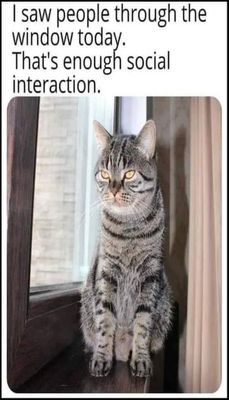introvert - v - I saw people through.jpg